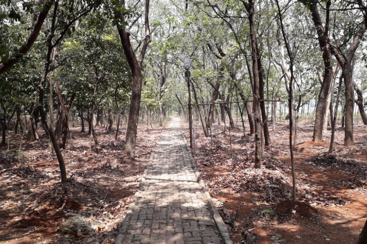 Jalan setapak yang dibuat di dalam Hutan Kota Danau Cincin, Jakarta Utara, Selasa (9/10/2018).