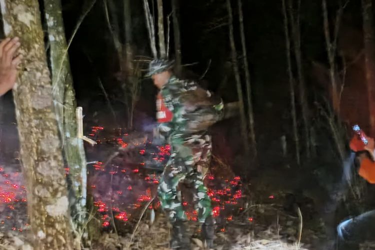 Gunung Fuji Lumajang Terbakar Seluas 3 Hektare