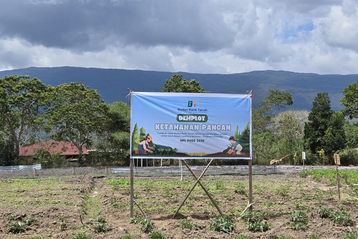 Aset HPL Badan Bank Tanah di Lembah Napu, Poso, Sulawesi Tengah