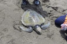 Tanggal 30 Desember Memperingati Hari Apa? Ini Momen Penting dan Sejarahnya