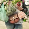Bring Your Own Bag, Jakarta Officially Frowns Upon Plastic Bags