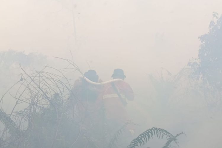 Karhutla Membara di Pelalawan Riau, Sebagian Petugas Tetap Puasa Saat Berjibaku Lawan Api