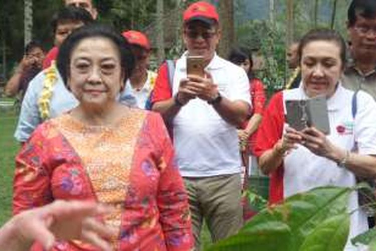 Ketua Umum Partai Demokrasi Indonesia Perjuangan, Megawati Soekarnoputri saat meninjau penanaman pohon langka bersama 24 duta besar negara sahabat di Kebun Raya Eka Karya, Tabanan, Bali, Sabtu (6/8/2016)