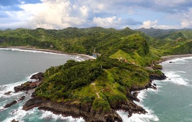 Yalangoch quyoshga botgan fotosurat