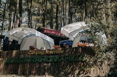 Muara Rahong Hills, Serunya Camping di Tepi Sungai Hutan Pinus