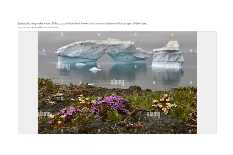 Tangkapan layar foto pemandangan Greenland di situs stock photo Alamy