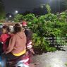 Hujan Disertai Angin Kencang di Pulogadung, Pohon Tumbang Tutup Akses Jalan