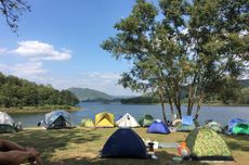Ranu Regulo Lumajang, Tempat Camping dengan Panorama Danau dan Hutan