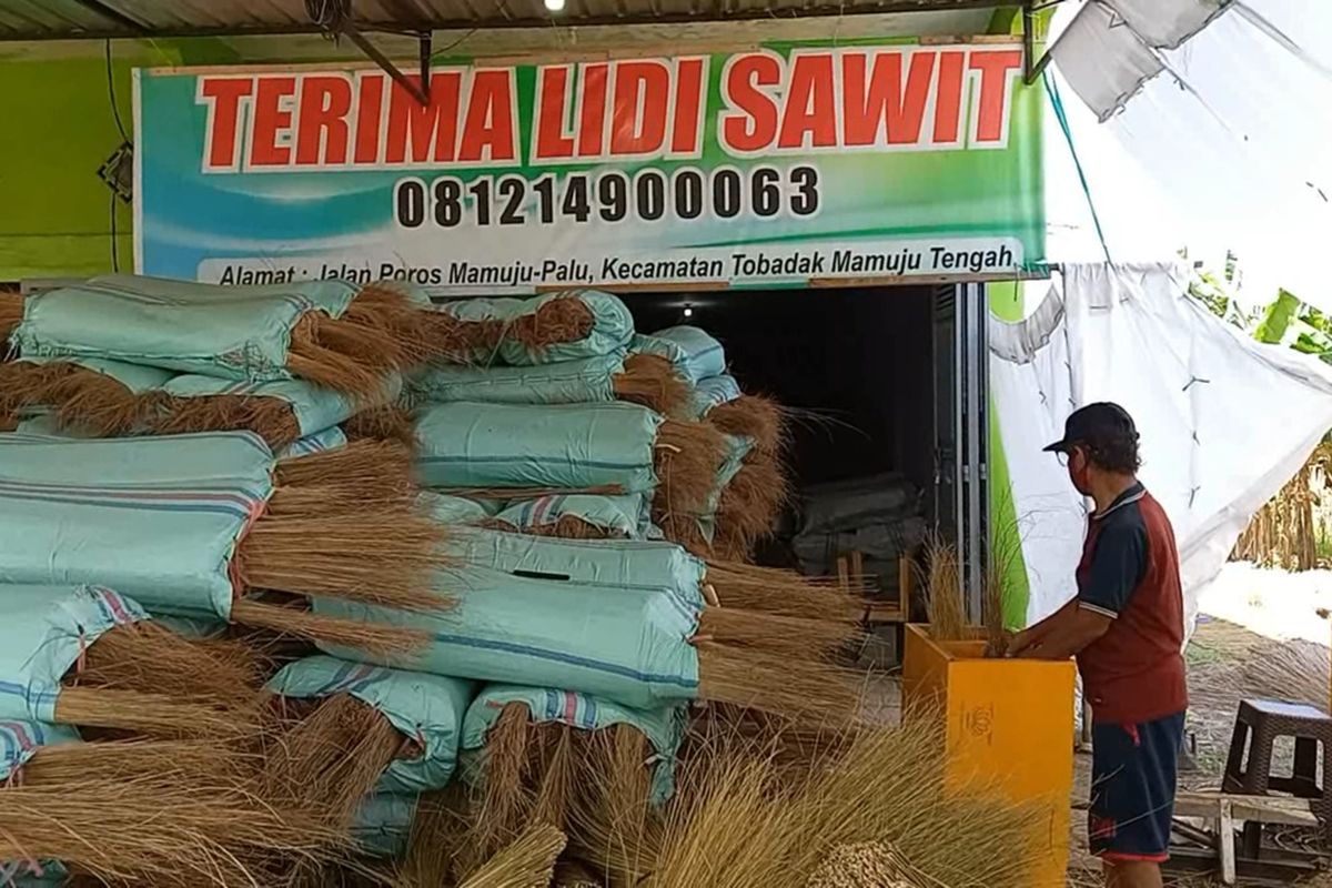 Ekspor Limbah Lidi 25 Ton Keluar Negeri, Pemuda Mateng Kantongi Untung Rp 75 Juta Perbulan *** Local Caption *** Ekspor Limbah Lidi 25 Ton Keluar Negeri, Pemuda Mateng Kantongi Untung Rp 75 Juta Perbulan