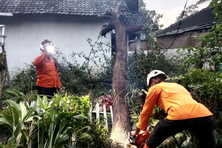 Hujan Deras dan Angin Kencang Landa Blitar, Atap Garasi Terbang, Pohon-pohon Tumbang