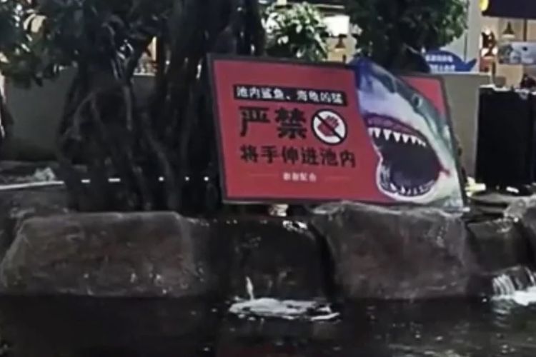 Papan peringatan yang terlihat di sekitar akuariam terbuka di sebuah mal di Guiyang, provinsi Guizhou, China.