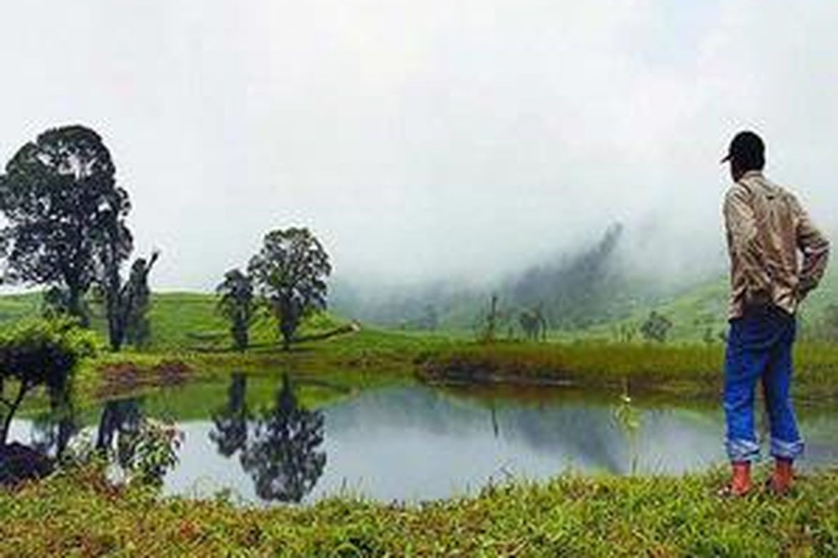 Telaga Saat terletak di perkebunan teh di Desa Tugu Utara, Kecamatan Cisarua, Bogor, Jawa Barat, Sabtu (17/1). Selain menjadi sumber air bagi warga kawasan Puncak, telaga dan sungai di kawasan tersebut juga merupakan sumber air Sungai Ciliwung.