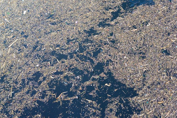 Foto udara sampah dari kayu gelondongan yang hanyut di danau Singkarak di Nagari Muaro Pingai, Kabupaten Solok, Sumatera Barat, Minggu (30/11/2025). Menteri LH Panggil 8 Perusahaan Imbas Gelondongan Kayu di Banjir Sumatera