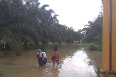 Cerita Warga Bertahan di Tengah Banjir Rokan Hulu, Setiap Keluar Rumah Takut Buaya dan Ular