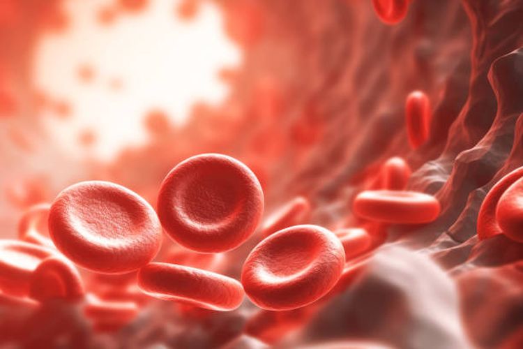 Bagaimana cara mencegah anemia aplastik?