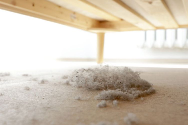 8 Cara Mudah Mengurangi Debu di Rumah, Ini Tips dari Pakar Kebersihan