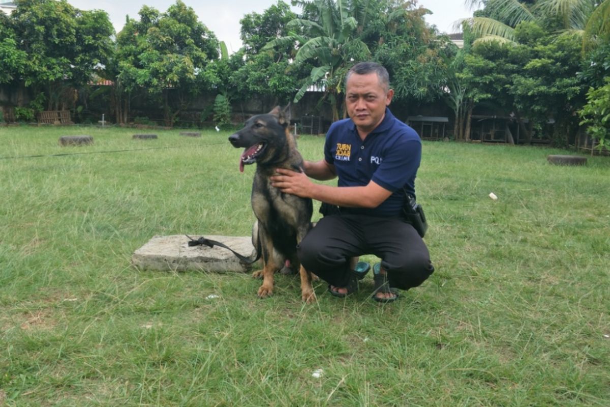 Kanit Satwa Direktorat Sabhara Polda Metro Jaya Iptu Sakiman bersama unit K9 binaannya, Kamis (3/5/2018). 