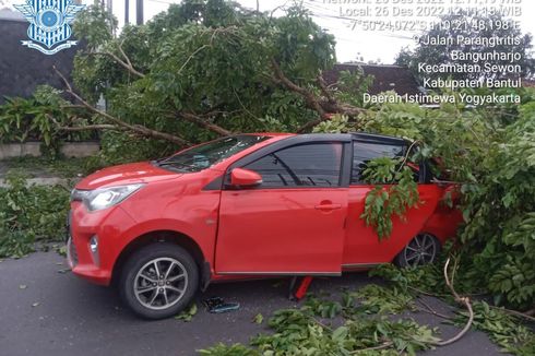 Pohon Tumbang Timpa 1 Mobil Wisatawan di Bantul, 2 Luka-luka