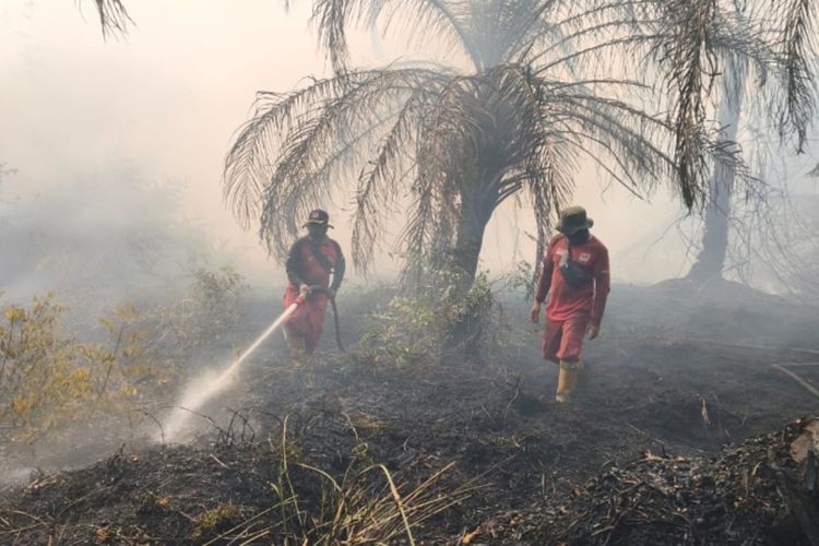 Karhutla di Siak Meluas, Tim Manggala Agni Berjibaku Padamkan Api Hari Ketiga