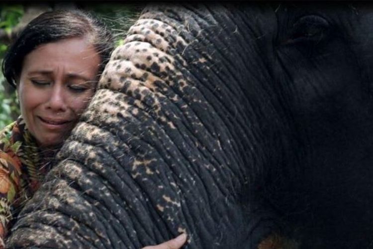 Sangita Iyer mengatakan dia jatuh cinta pada pandangan pertama dengan gajah betina bernama Lakhsmi.