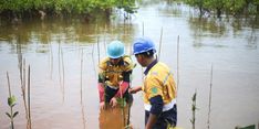 Lestarikan Lingkungan di Wilayah Operasi, Antam Rehabilitasi DAS Poleang