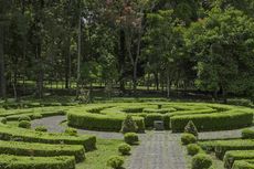 Kebun Raya Bali Revitalisasi Taman Begonia, Bangun Rumah Kaca yang Luas