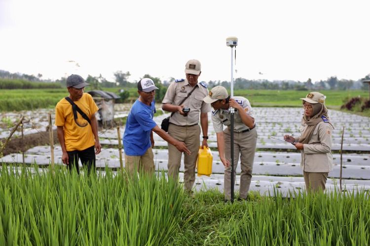 Mau Bikin Sertifikat Tanah? Cek Harganya di Tiap Wilayah