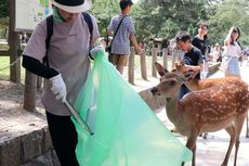 Telan Sampah Plastik, 9 Rusa di Taman Terkenal Jepang Mati