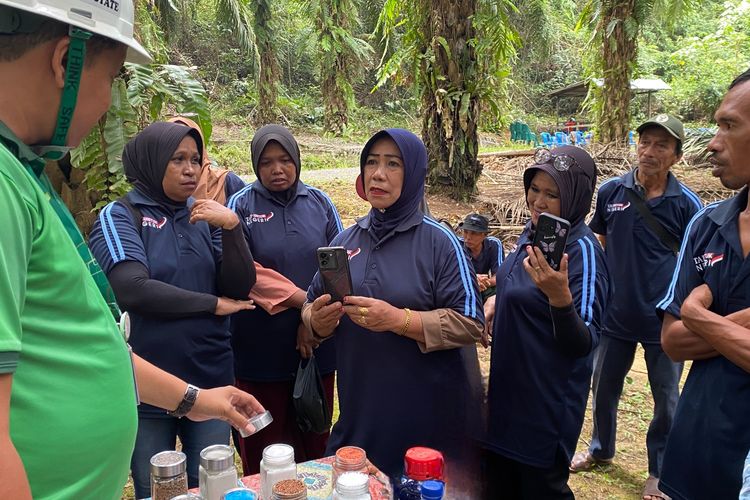 TAP Untuk Negeri Dorong Produktivitas Petani Sawit demi B50