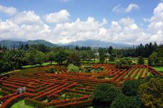 Kegiatan Seru di Taman Bunga Nusantara, Sewa Hanbok