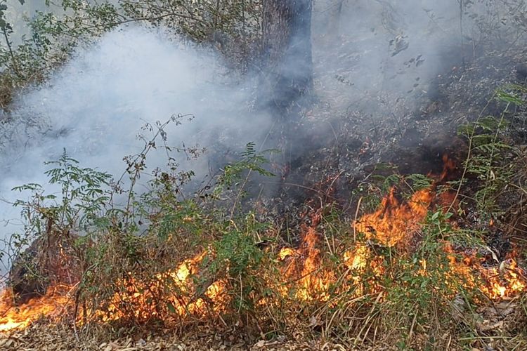Foto: Kebakaran kawasan hutan lindung Egon Ilinmedo di Desa Egon Buluk, Kecamatan Waigete, Kabupaten Sikka.
