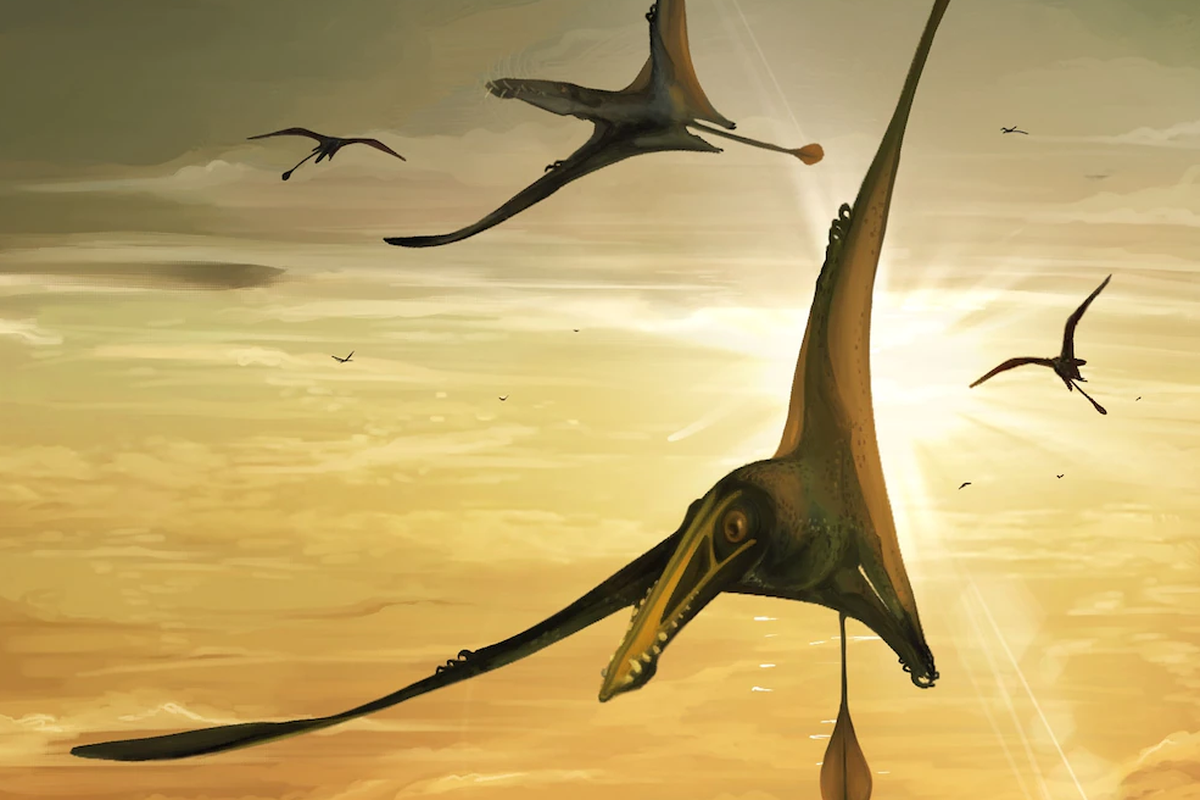 Peneliti di Skotlandia menemukan fosil reptil bersayap raksasa milik pterosaurus. 