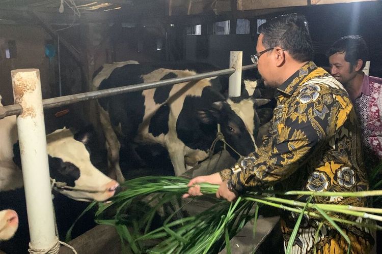 Wakil DPRD Jatim Anwar Sadad meninjau kandang sapi perah milik warga di Desa Telogosari Kecamatan Tutur Kabupaten Pasuruan Minggu (3/7/2022).