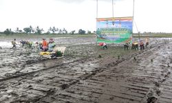 Mentan: Optimasi Lahan Rawa Jadi Jawaban Ketahanan Pangan Indonesia