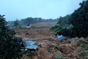 apa bahasa inggris hidung Kronologi Tragedi Longsor di Natuna, 10 Orang Tewas, Longsor di Siang Hari Disebut Paling Besar