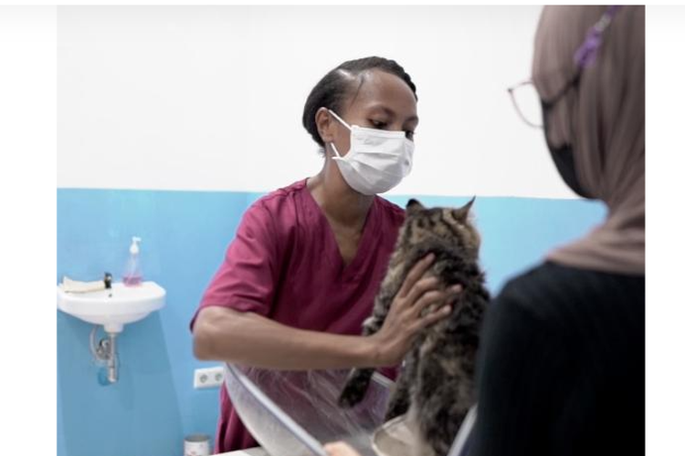 Kisah Amelia, Gadis Asal Biak Jadi Dokter Hewan berkat Beasiswa ADik