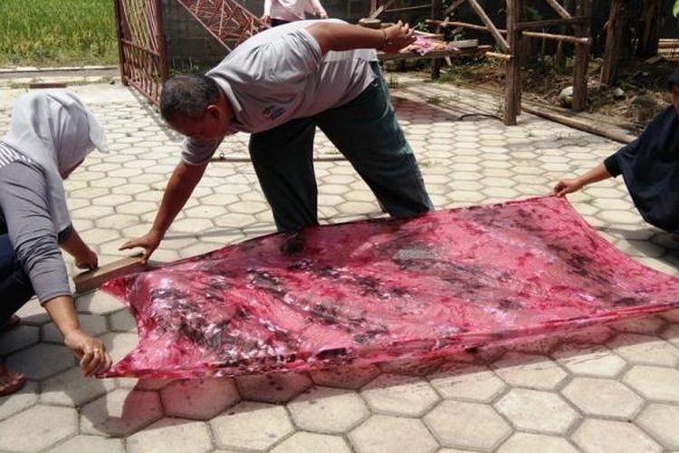 Pengrajin batik di Kendal, saat menjemur kain yang diwarnai. Kompas.Com /Slamet Priyatin