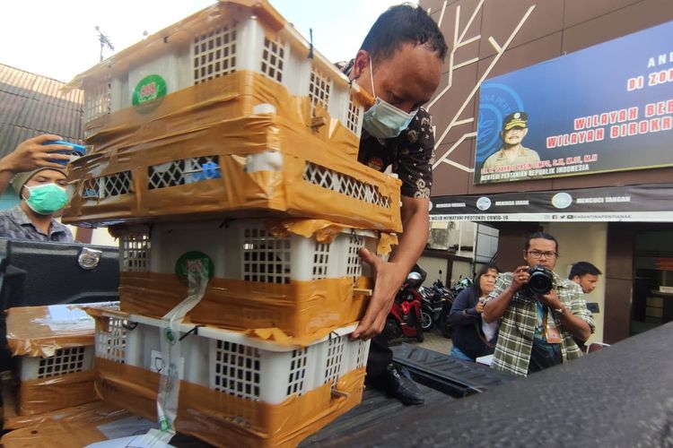 Penyelundupan ratusan ekor burung kicau melalui Pelabuhan Dwikora Pontianak, Kalimantan Barat (Kalbar) digagalkan petugas. Sub Koordinator Pengawasan dan Penindakan Balai Karantina Kelas I Pontianak, Joko Supriyantno mengatakan, hasil pemeriksaan, terdapat lima jenis burung kicau, yakni kacer sebanyak 157 ekor, murai batu 36 ekor, cucak hijau 55 ekor, kapas tembak 2 ekor, dan beo 2 ekor. 