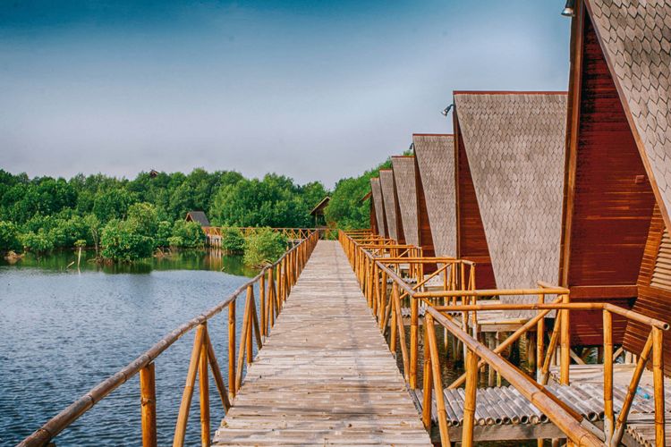 Taman Wisata Alam (TWA) Mangrove Angke Kapuk, Jakarta Utara