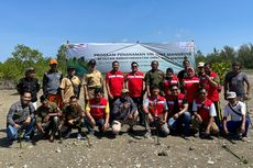 Peduli Lingkungan, Elnusa Petrofin Tanam 500 Bibit Mangrove di Bangka Belitung