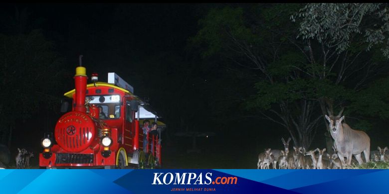 Saat Lebaran, Anda Dapat Berkeliling Taman Safari Bogor di ...