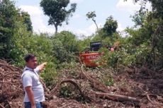 Perambah Hutan di Rokan Hilir Riau Ditangkap, 2 Eskavator Disita