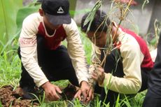Kehati dan CIMB Niaga Perluas Kesadaran Pelestarian Bambu di Pesantren
