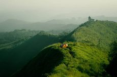 Cuaca Ekstrem, Wisata di Kawasan Tahura R Soerjo Jawa Timur Tutup Sementara