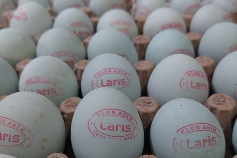 Usaha Telur Asin Rumahan di Surabaya Ini Bisa Jual 2.500 Butir dalam 3 Minggu