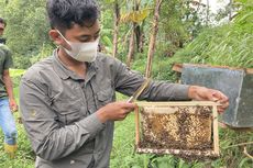 9 Tips Wisata di Eduwisata Lebah Madu Bojongmurni Bogor, Jangan Pakai Parfum