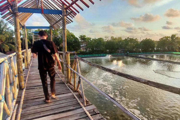 Situasi sepi obyek wisata Mangrove Jembatan Api-Api (MJAA) pada Padukuhan Pasir Kadilangu, Kalurahan Jangkaran, Kapanewon Temon, Kabupaten Kulon Progo, Daerah Istimewa Yogyakarta.