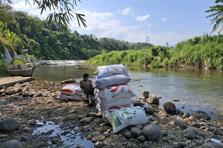 Musim Panen Tiba, Petani di Bengkulu Bertaruh Nyawa Seberangi Sungai