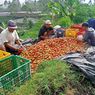 Jelang Hari Tani Nasional, Petani Sayur di Pangalengan Dicekik Tingginya Harga Pupuk hingga Ancaman Investor Wisata