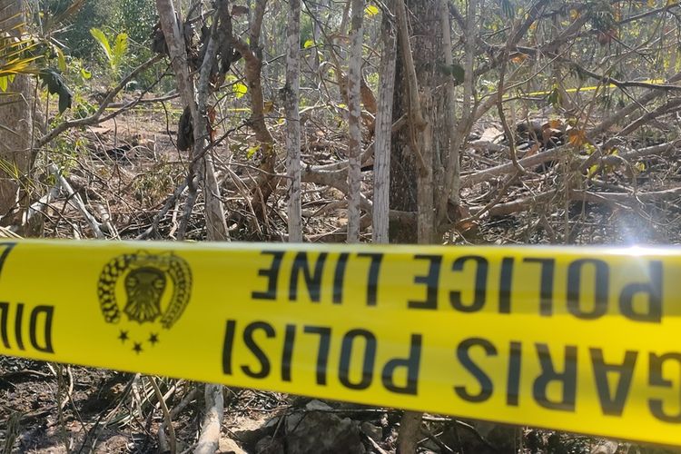 Kebakaran melanda lahan kebun pohon keras di RT 30 RW 13 Pedukuhan Jurangjero, Kalurahan Giripeni, Kapanewon Wates, Kabupaten Kulon Progo, Daerah Istimewa Yogyakarta. Seorang lansia ditemukan tewas di kebun terbakar ini.